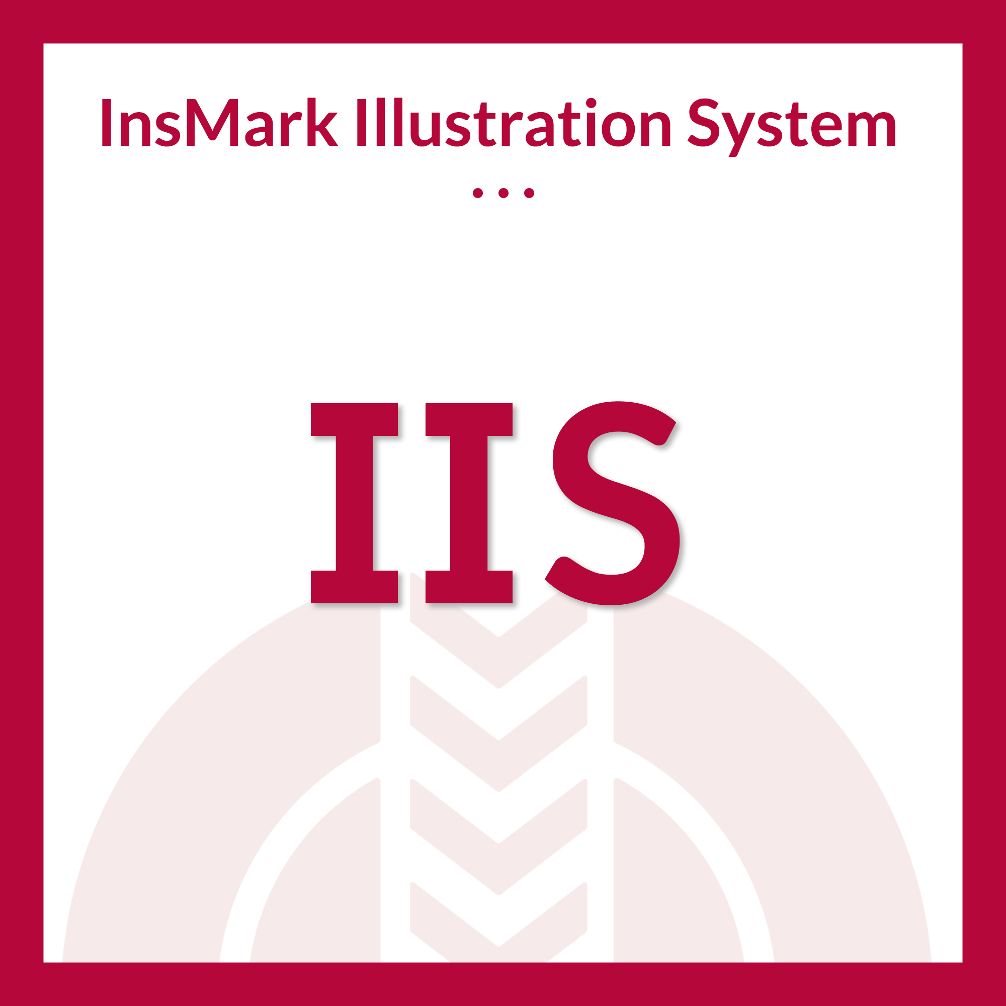 Insmark Illustration System
